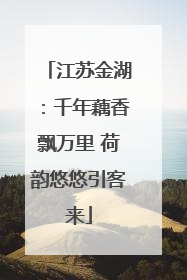 江苏金湖：千年藕香飘万里 荷韵悠悠引客来
